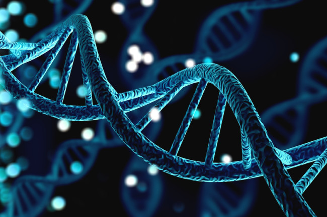 If you want to get a brief idea about the 16s DNA sequencing, then you should first know about the 16S rDNA well.