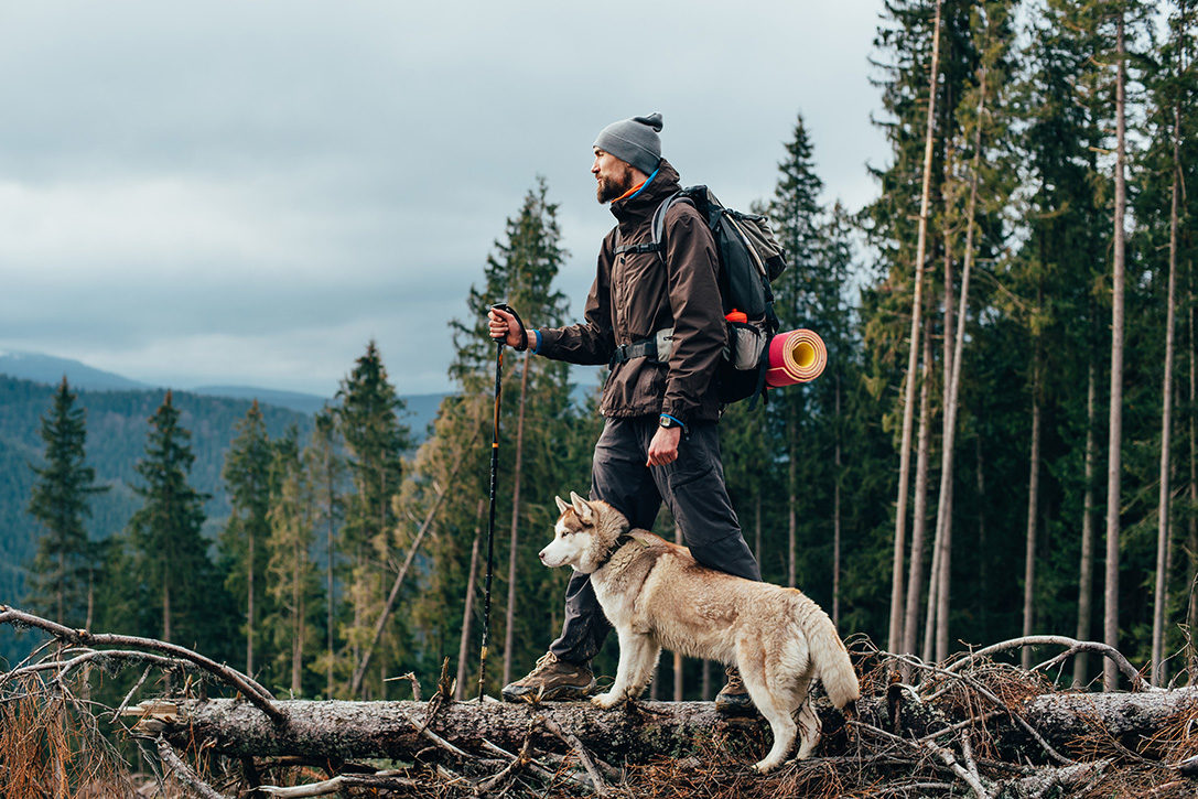 Tips To Keep In Mind While Hiking With Your Dog