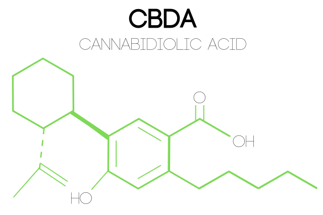 What Is CBDA? & Health Benefits, Works, and Uses