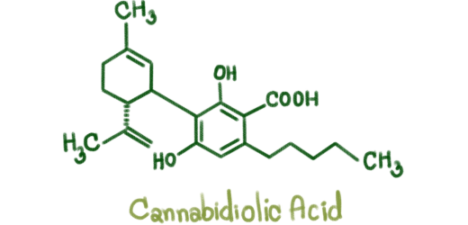 Cannabidiolic acid