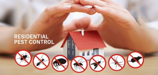pest control Edmonton
