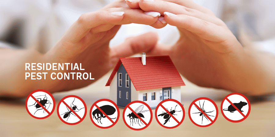 pest control Edmonton