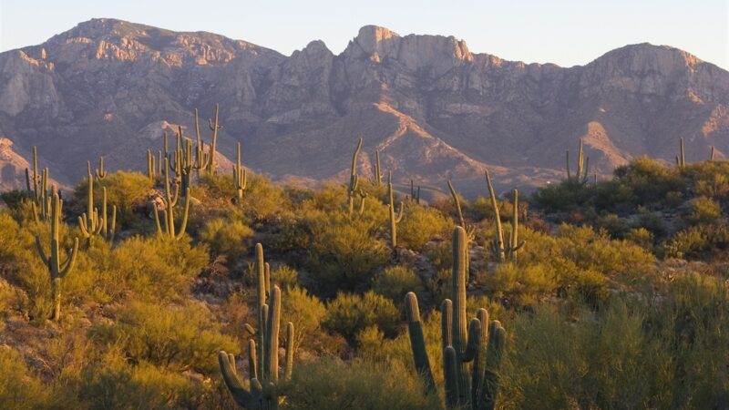 About Oro Valley Arizona | I Love OV, LLC