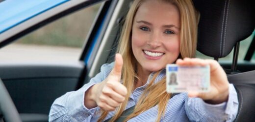 driver license translation