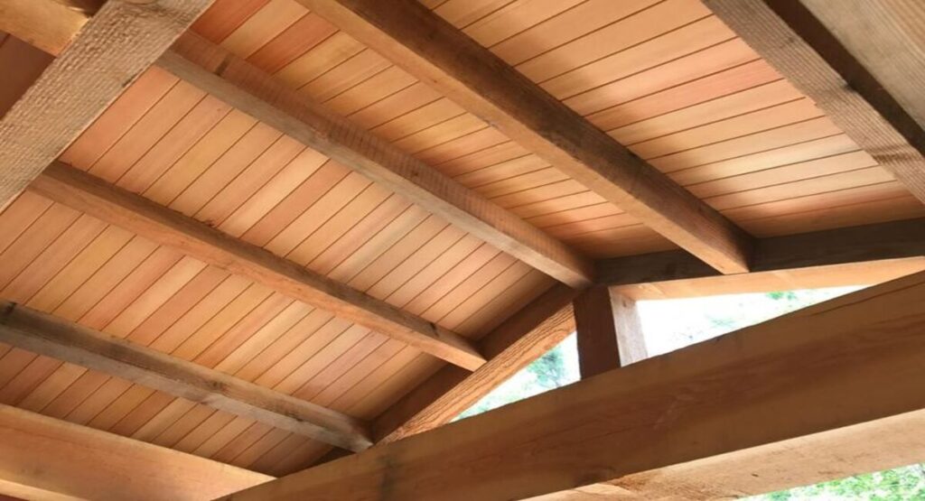 Douglas Fir